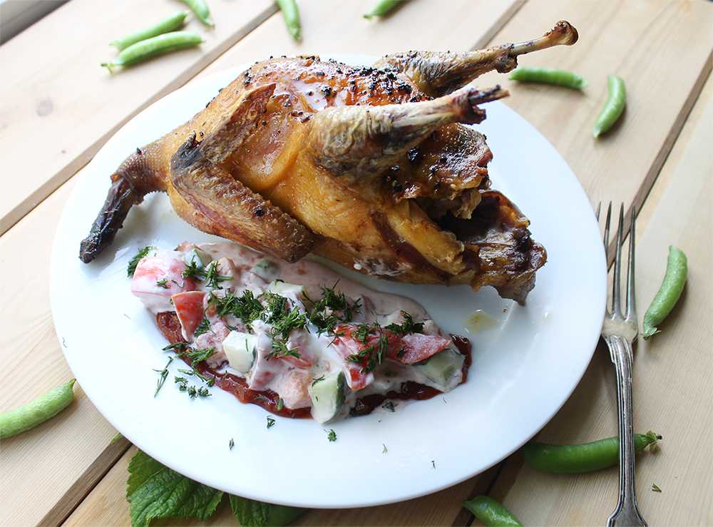 Как приготовить фазана - в духовке, на сковороде: рецепты блюд в домашних условиях