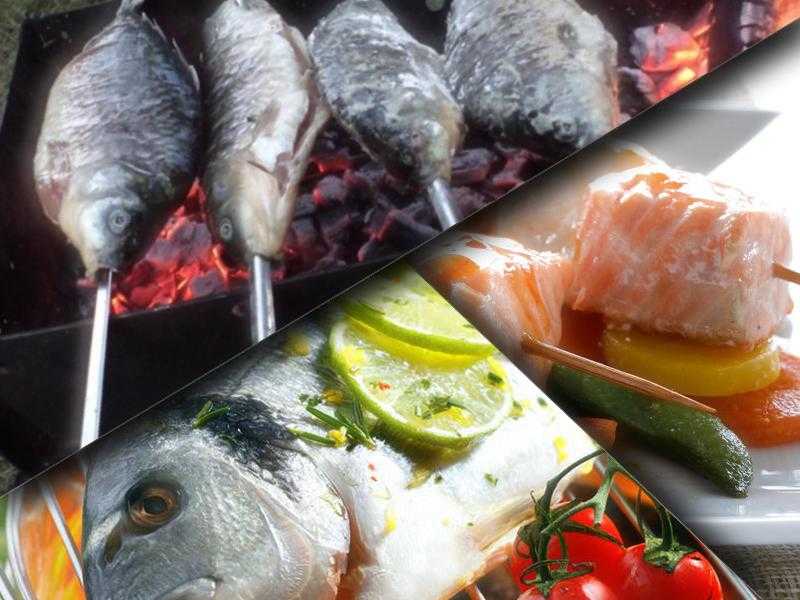 12 рецептов форели на мангале для любителей вкусно покушать