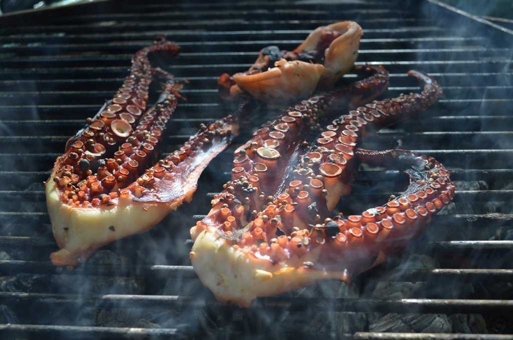 Готовим осьминога экзотического на электрогриле: поиск по ингредиентам, советы, отзывы, пошаговые фото, подсчет калорий, удобная печать, изменение порций, похожие рецепты