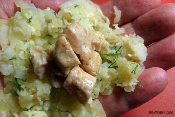 Картофельные зразы с фаршем – 7 пошаговых рецептов приготовления зраз