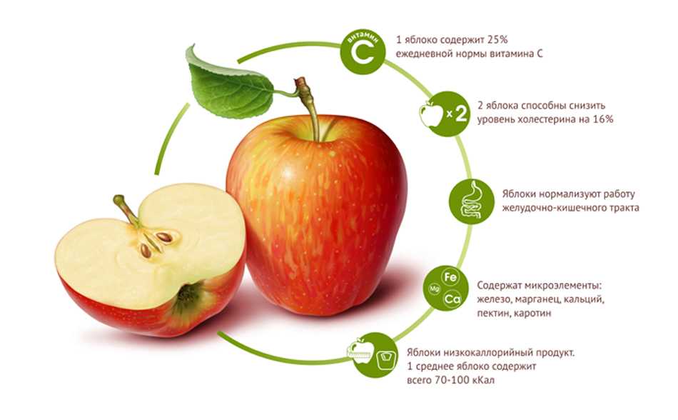 Яблочные чипсы содержание полезных веществ, польза и вред, свойства