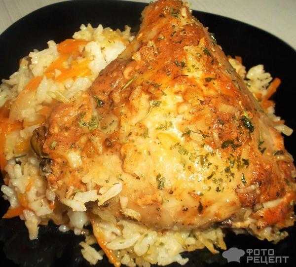 Как приготовить курицу с рисом в духовке по пошаговому рецепту с фото. ленивый рис с курицей в духовке