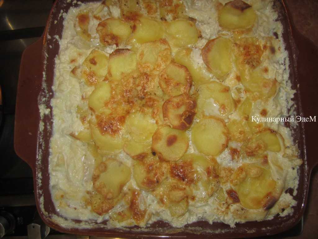Картофель ломтиками, запеченный в сливках и сыре в духовке рецепт с фото пошагово - 1000.menu