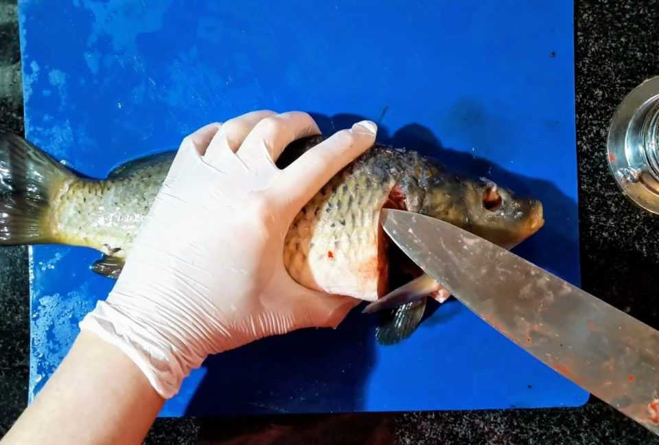 Фаршированная рыба гефилте фиш - готовим 2-мя способами