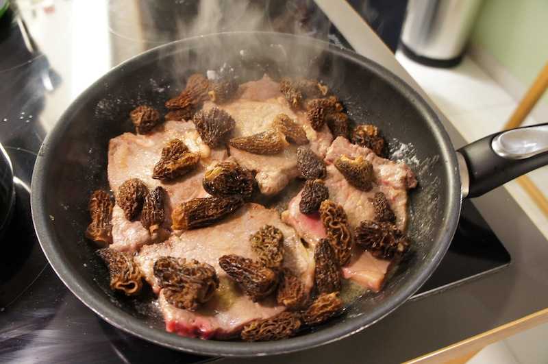 Как приготовить сморчки грибы: рецепты приготовления с фото пошагово, вкусно и просто – рецепты с фото
