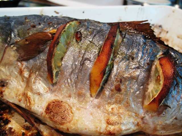 Как приготовить филе замороженного и свежего тунца: 11 блюд