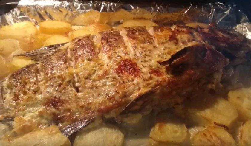 Лещ в духовке с картошкой: как приготовить в фольге с майонезом, рецепты приготовления запечённой рыбы целиком с картофелем