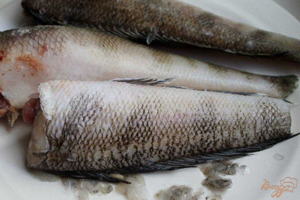 Нототения: что это за рыба, как её приготовить? 6 рецептов - советы