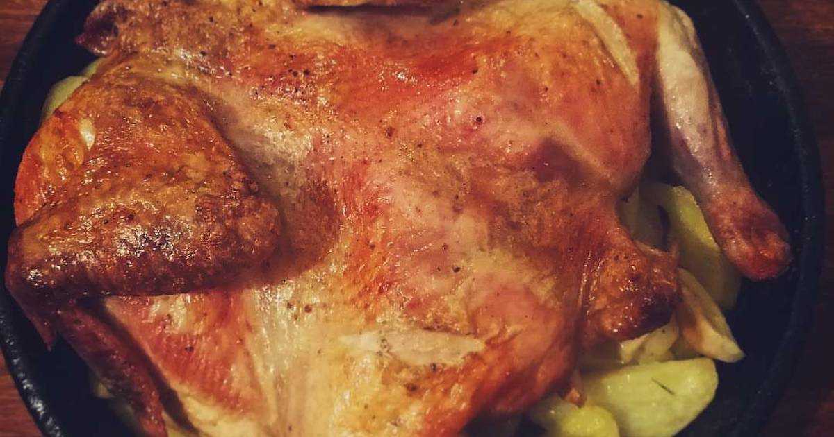 Курица в духовке: рецепты приготовления с аджикой, картошкой, тыквой, сыром и сливками. как приготовить курицу по-французски и курицу гриль в духовке?