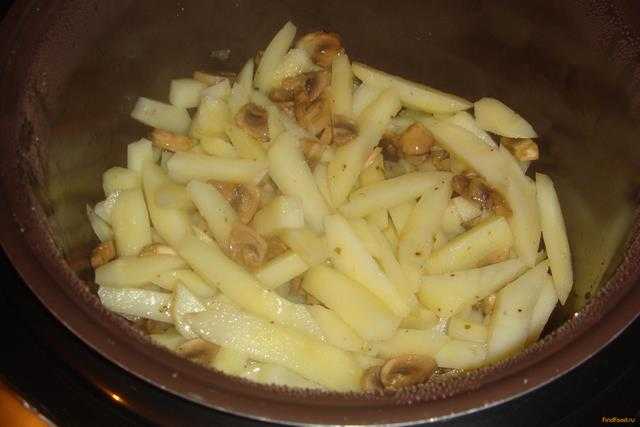 Картошка с шампиньонами в мультиварке. приготовление картошки с шампиньонами в мультиварке