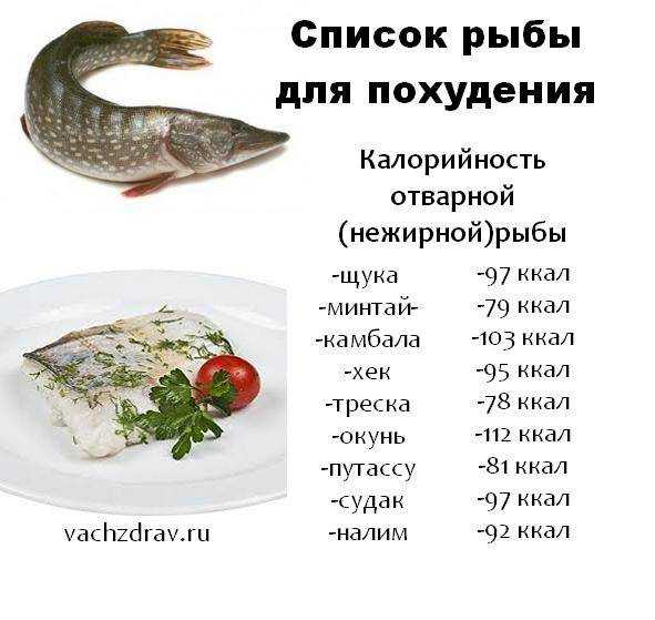 Рыба на гриле: 29 домашних вкусных рецептов