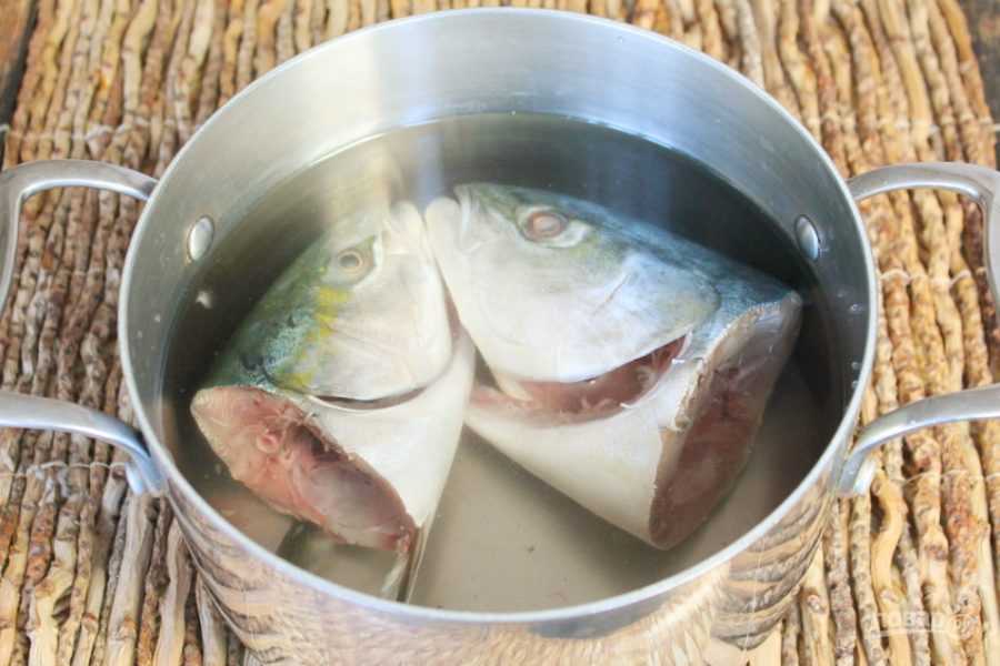 Как приготовить рыбу лакедра в духовке в фольге