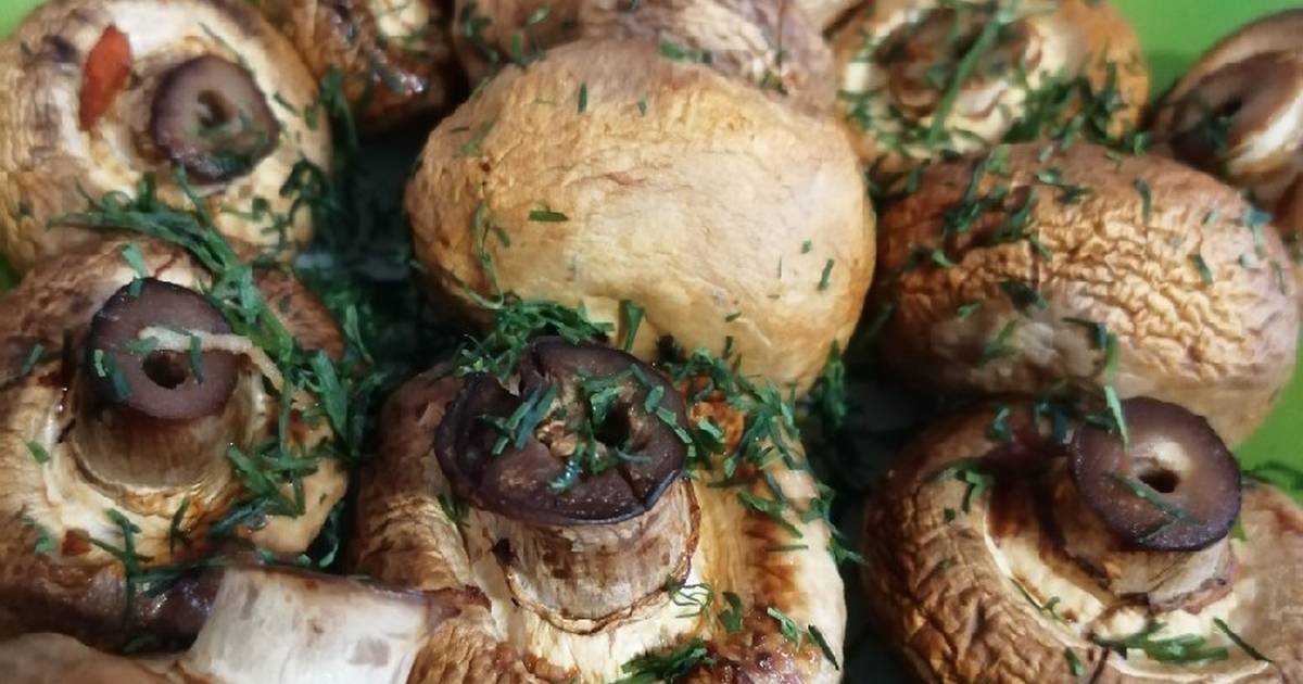 Овощи и грибы на мангале: пошаговые рецепты с фото на решётке гриль, шампурах и в фольге