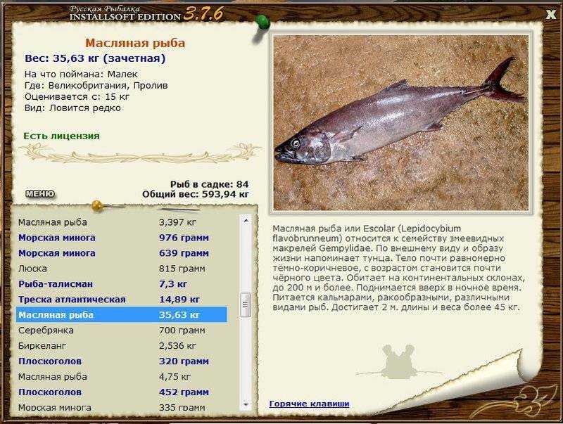 Масляная рыба – пошаговые рецепты приготовления