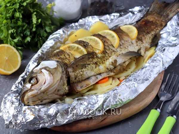 Рыба белый амур. фото, описание, костлявая или нет, рецепты приготовления в духовке в фольге, рукаве, на гриле, мангале