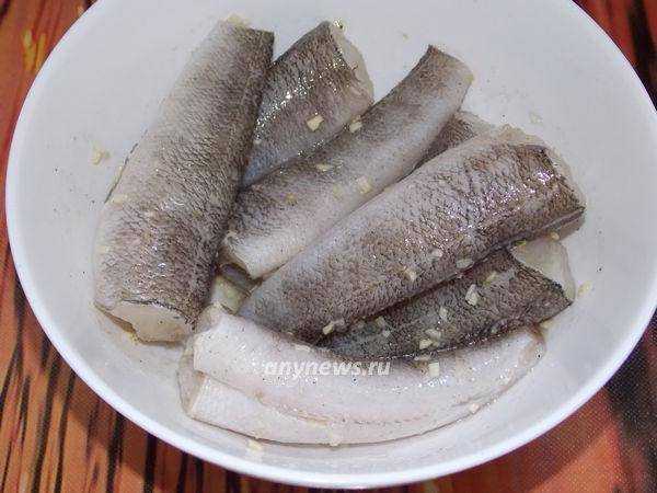 Нототения: что это за рыба, как её приготовить? 6 рецептов - rus-womens