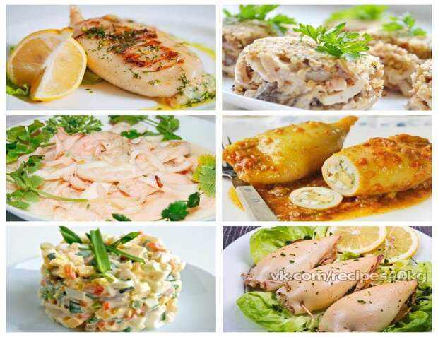Кальмары – диетические рецепты низкокалорийных и вкусных блюд из морепродуктов: приготовление кальмаров кольцами, фаршированные и прочие варианты в духовке, мультиварке