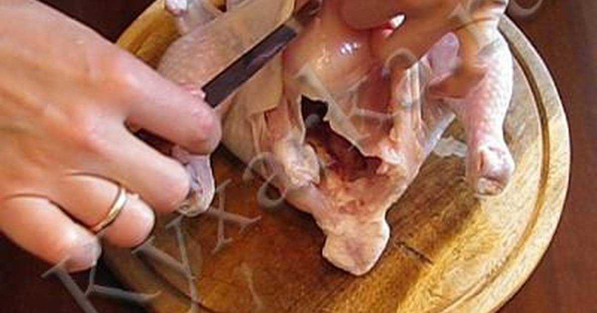 Курица фаршированная 3 способами: рецепты, чем начинять, специи