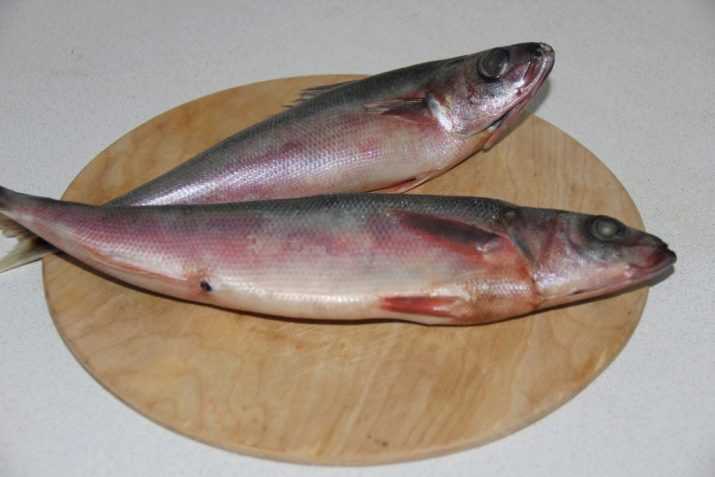 Рыба красноглазка рецепты приготовления жарить