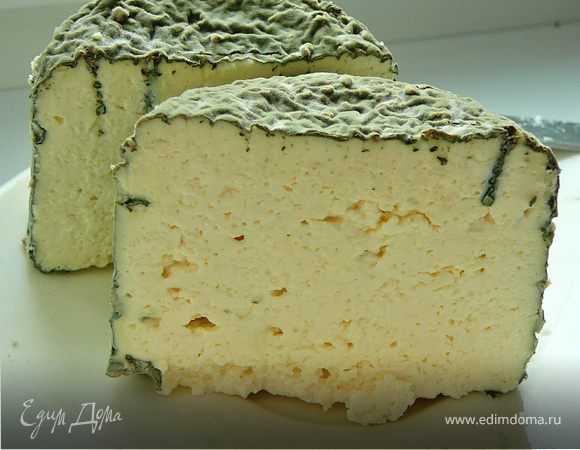 Голубой сыр дор блю: пошаговые рецепты с фото для легкого приготовления 🚩 кулинарные рецепты
