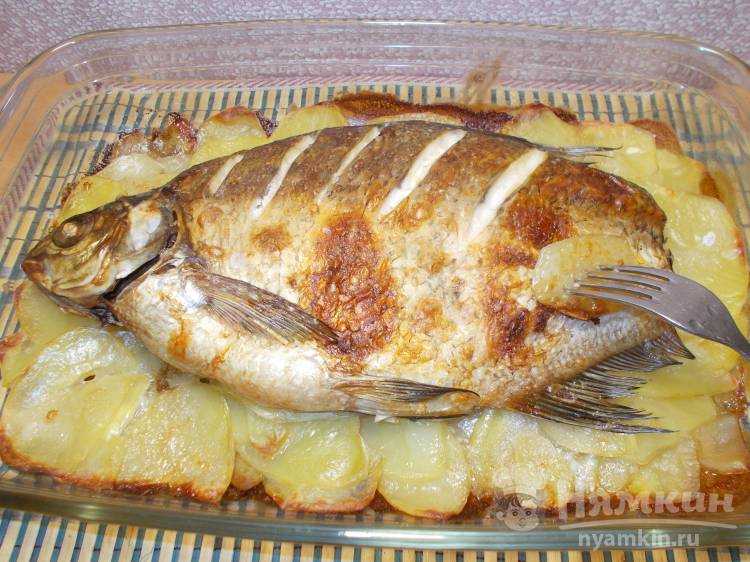 Рыба с картофелем в духовке: 9 сытных рецептов
