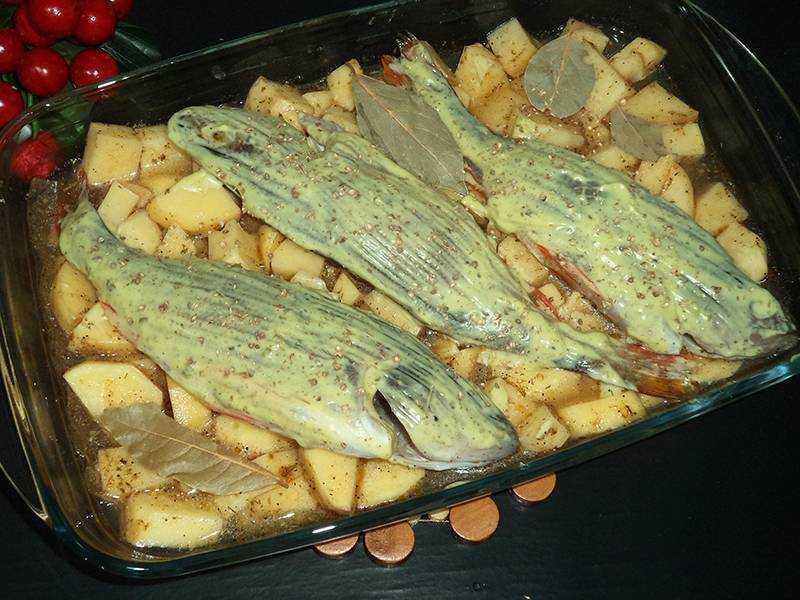 Ледяная рыба: рецепты приготовления