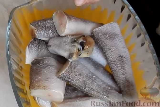 Нототения: что это за рыба, как её приготовить? 6 рецептов - советы
