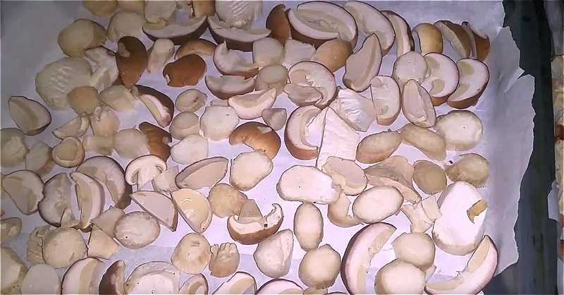 Всё о том, как в обычных домашних условиях сушить белые грибы