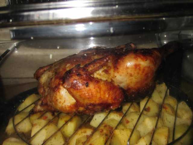 Курица в аэрогриле — лучшие рецепты. как правильно и вкусно приготовить курицу в аэрогриле.