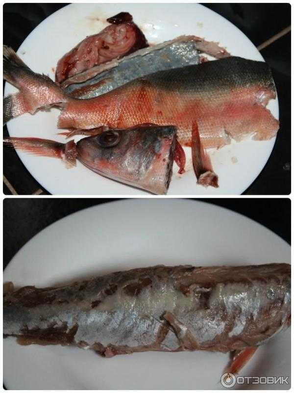 Красноглазка – что за рыба, как готовить, – 6 рецептов приготовления