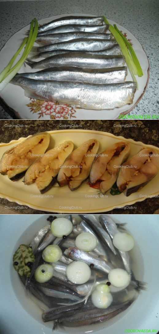 Ставрида черноморская: пошаговые рецепты с фото для легкого приготовления