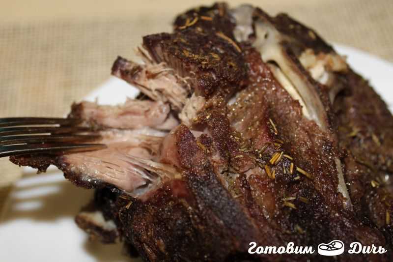 Как приготовить мясо дикого кабана в домашних условиях: 5 рецептов с фото и разделка туши | обарбекю.ру