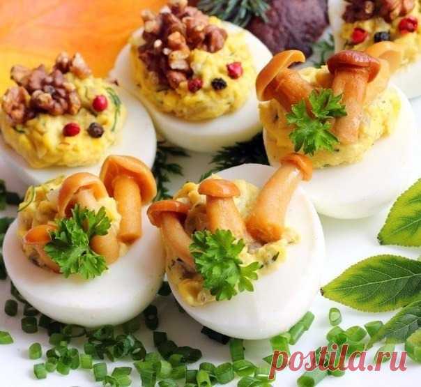 Яйца, фаршированные сыром и чесноком - 6 пошаговых фото в рецепте
