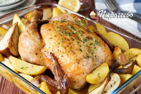 Готовь курицу с грушей в духовке: поиск по ингредиентам, советы, отзывы, пошаговые фото, подсчет калорий, удобная печать, изменение порций, похожие рецепты