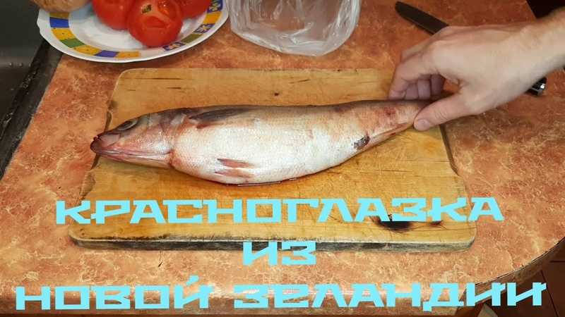 Красноглазка рыба рецепты духовке