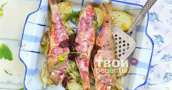 Самые простые и вкусные рецепты блюд из барабульки -frost fish
