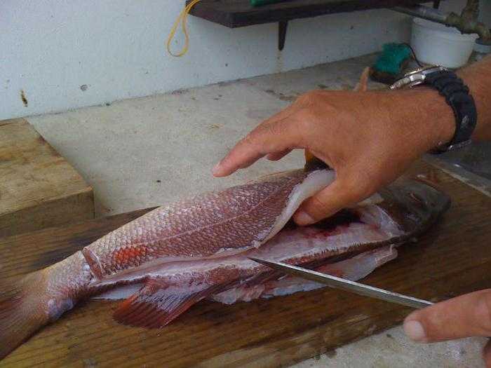 Красноглазка (рыба) - рецепт