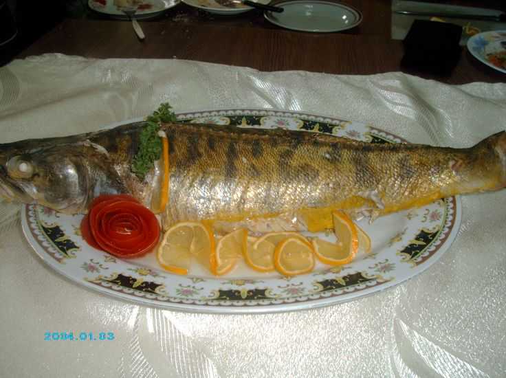 Запеченный фаршированный судак – пошаговый рецепт с фото приготовления рыбы целиком в духовке на праздничный стол