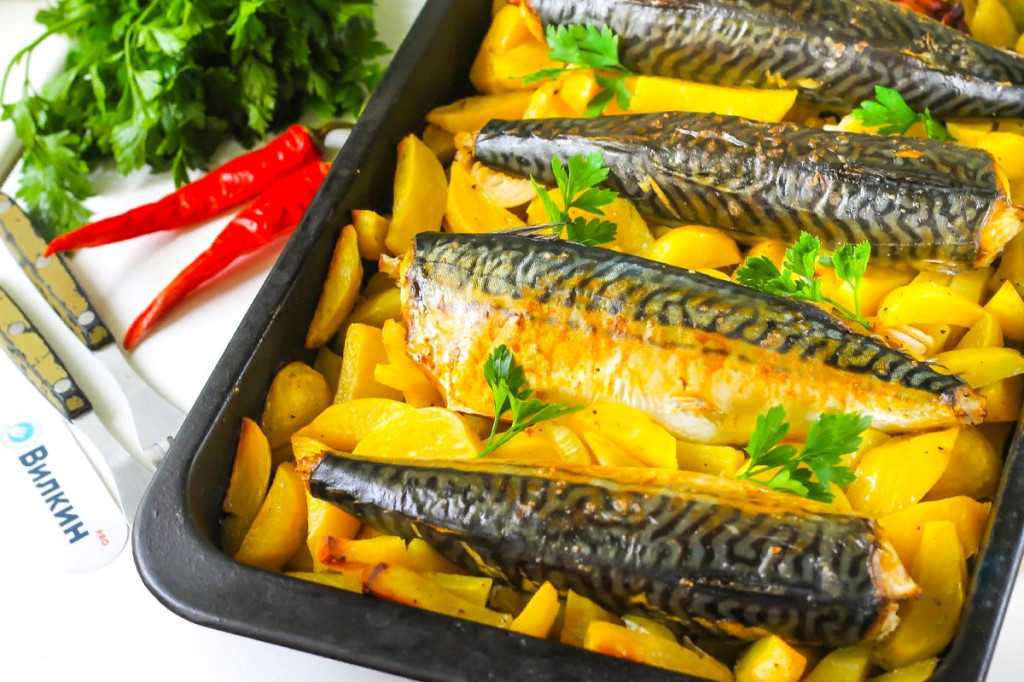 Скумбрия запеченная в духовке. 13 простых рецептов приготовления вкусной и полезной рыбы