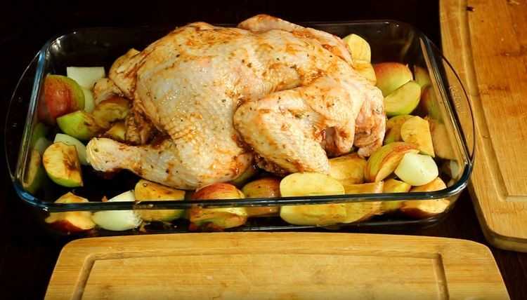 Курица с яблоками в духовке - самые вкусные рецепты