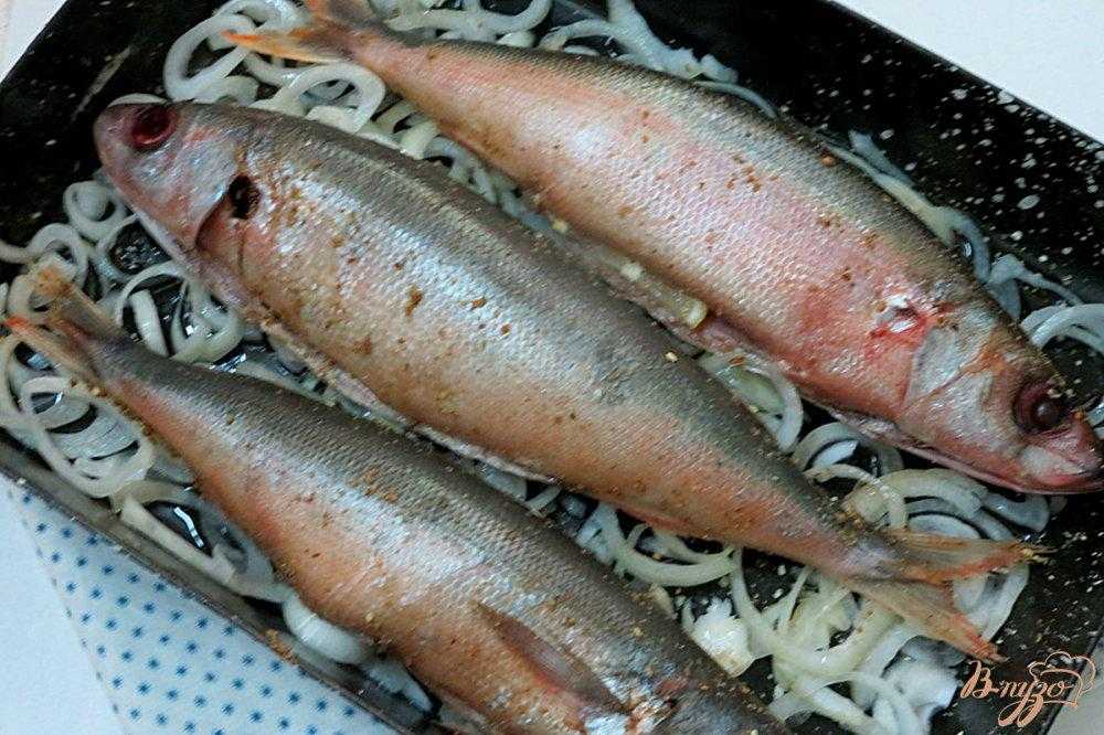 Рыба красноглазка: чем полезна и как правильно приготовить