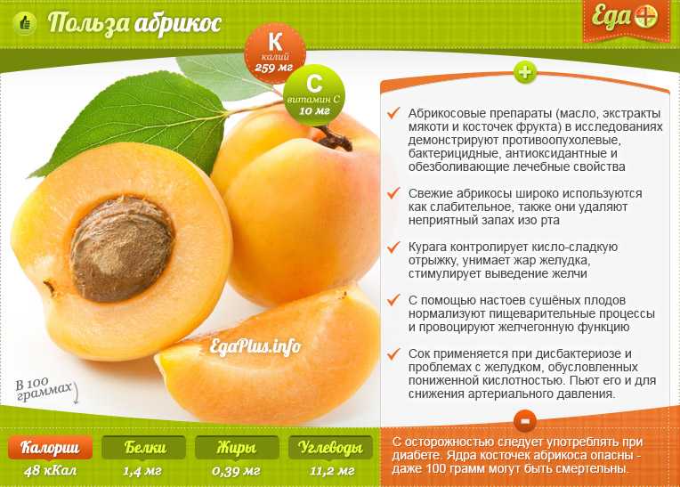 Чипсы яблочные - калорийность, полезные свойства, польза и вред, описание
