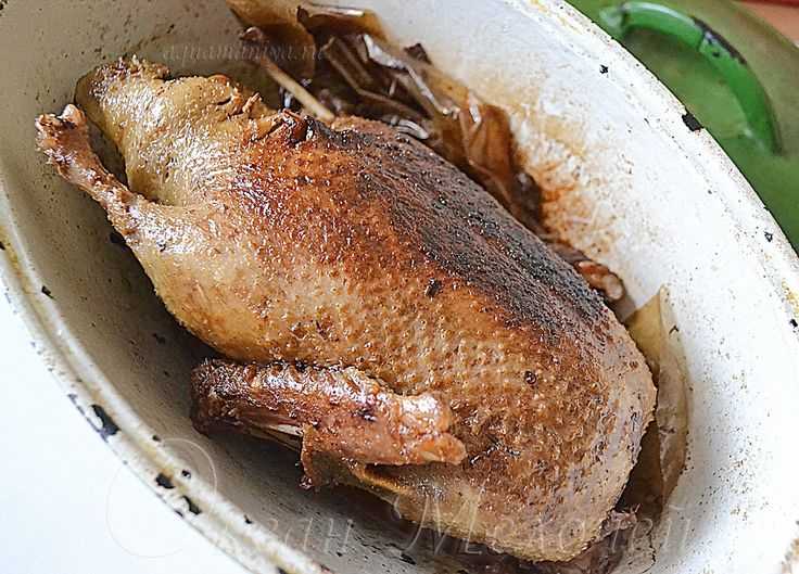 Утка в духовке: рецепты мягкой и сочной утки