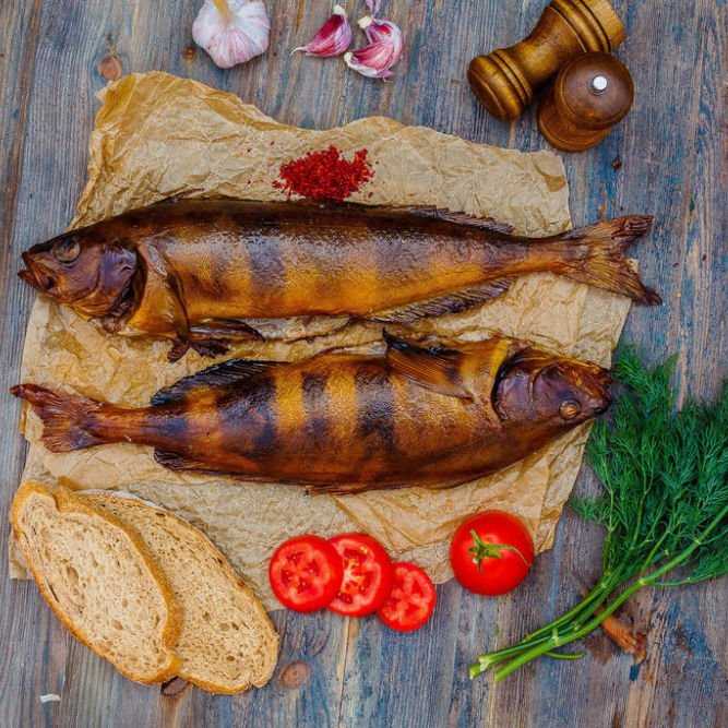 Терпуг рыба. фото и описание, польза, рецепты, как приготовить