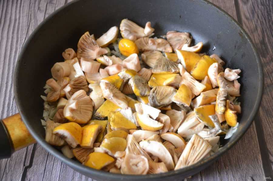 Как правильно обрабатывать, варить и жарить грибы сыроежки: лучшие рецепты грибных блюд. грибной заливной пирог, грибной гороховый суп, салат, мясной рулет, рис с сыроежками: рецепт