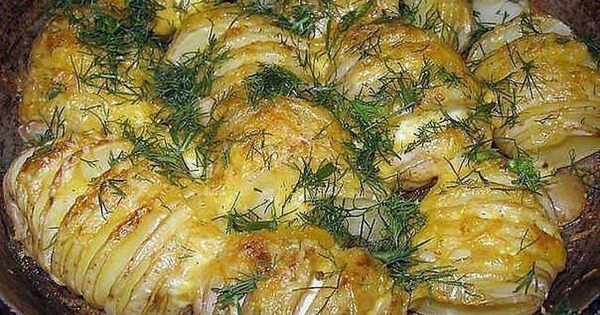 Картофель с сыром, 20 лучших рецептов картошки с сыром