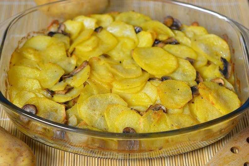 Картошка с грибами в сметане: рецепты для духовки, мультиварки и плиты