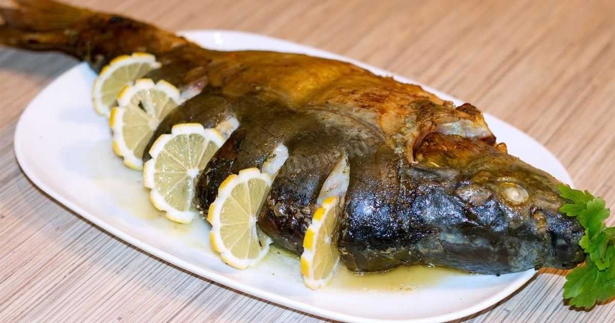 Карп, запеченный в духовке: как вкусно приготовить рыбу