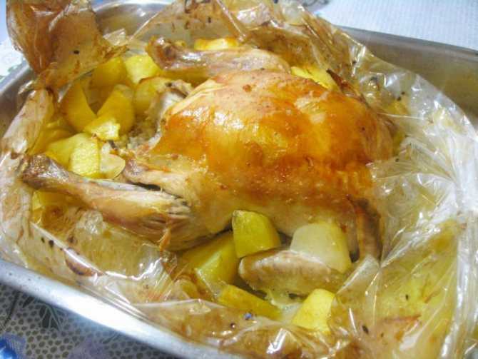 15 отличных рецептов курицы в рукаве в духовке