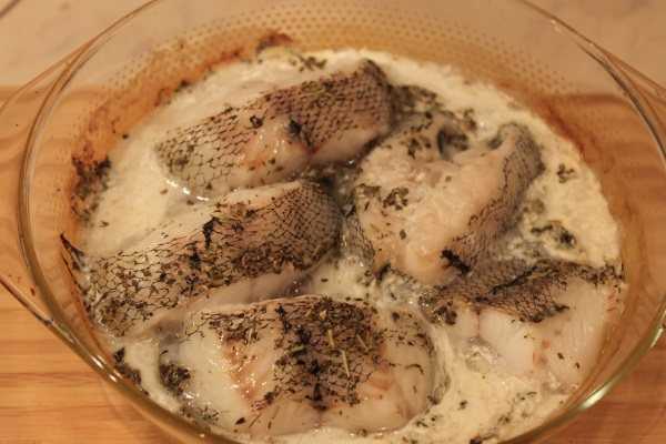 Что за рыба макрурус, как готовить правильные и вкусные блюда?